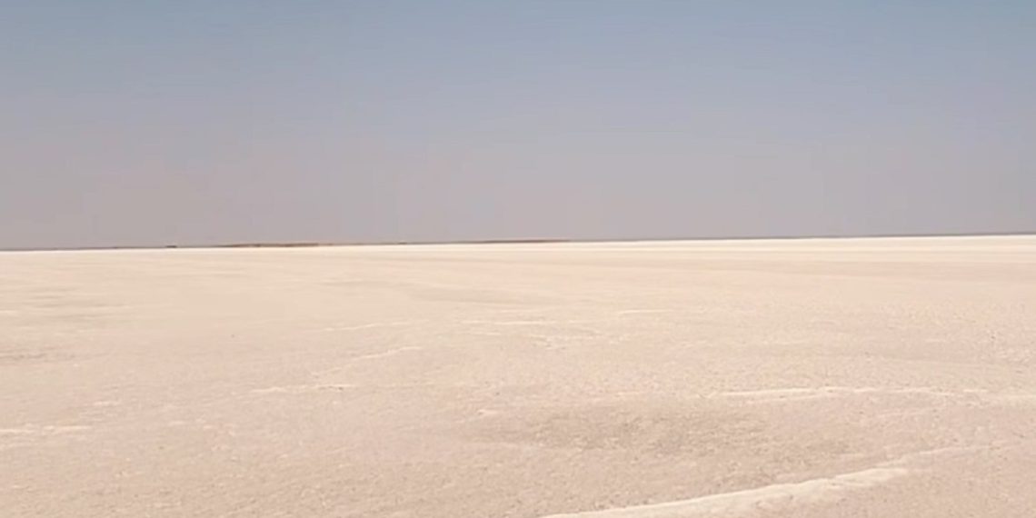 بقيمة تٌناهز 7 مليون دينار: إحداث أول مشروع نموذجي لاستخراج وتحويل الملح بالمهدية