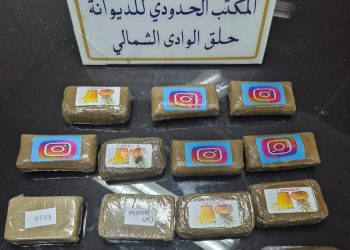 ميناء حلق الوادي: إحباط محاولة تهريب 15 صفيحة من مخدر ( الزطلة)