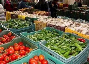 بنزرت: إعادة ضخ 35,2 طنا من الخضر والغلال بسوق الجملة بجرزونة