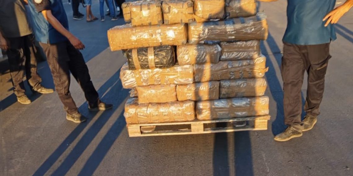 في عملية نوعية: مصالح الديوانة بميناء رادس تحبط محاولة تهريب 572 كلغ من “الزطلة”