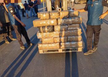 في عملية نوعية: مصالح الديوانة بميناء رادس تحبط محاولة تهريب 572 كلغ من “الزطلة”
