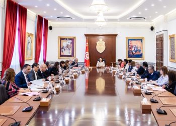 الحكومة تقرّ إجراءات لترشيد وحوكمة التصرف في المنظومة الدوائية