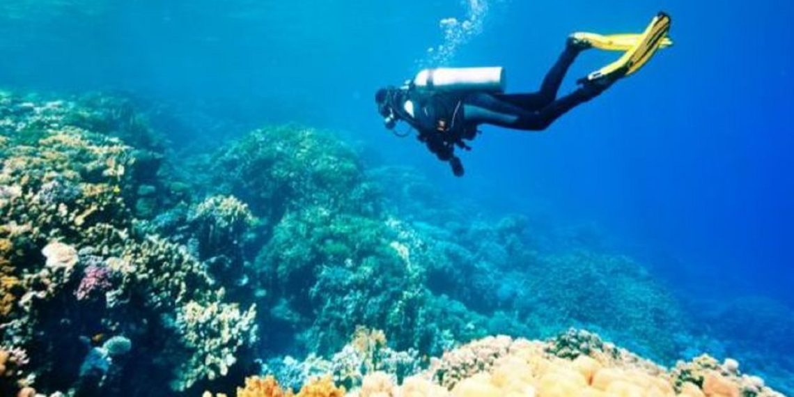 تونس ضمن أفضل 25 وجهة سياحية في العالم كمكان رائع للغوص