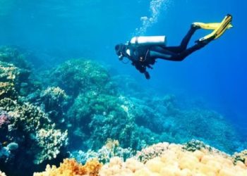 تونس ضمن أفضل 25 وجهة سياحية في العالم كمكان رائع للغوص