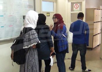 رغم ارتفاع نسبة خريجات الجامعات: نسبة نفاذهن لسوق الشغل لا تتجاوز 23%