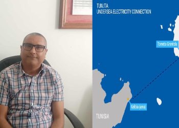 الياس بن عمار: مشروع “ألماد” زاد في مديونية الستاغ بـ15%… والطاقة المنتَجة ستُوجَّه إلى السوق الأوروبية
