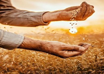 تونس تطلق منصة وطنية لرصد الأمن الغذائي