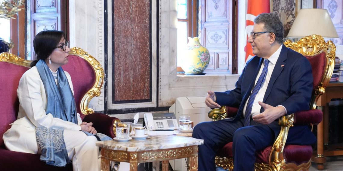 منظمة الأمم المتحدة تؤكد حرصها على مواصلة دعم تونس