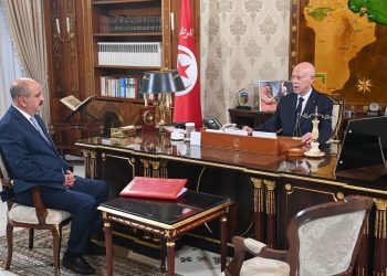 قيس سعيد يؤكد ضرورة مضاعفة الجهود من اجل عودة التونسيين الذين احتجزهم الكيان الصهيوني