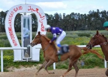 مركض سباق الخيل بقصر السعيد: رفع الحجر الصحي واستئناف السباقات