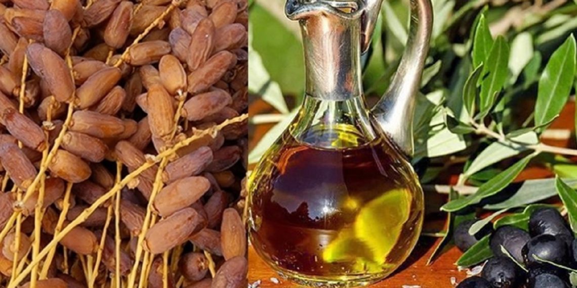 وزير التجارة يؤكد دور البنوك في تمويل صادرات التمور وزيت الزيتون