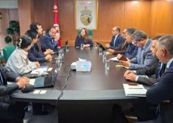 مؤسسة YJC Power تعتزم إحداث وحدة جديدة لإنتاج بطاريات الليثيوم في تونس