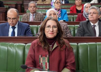 وزيرة المالية: “الفصل المتعلق بتوريد سيّارة مستعملة مكلف لخزينة الدولة”