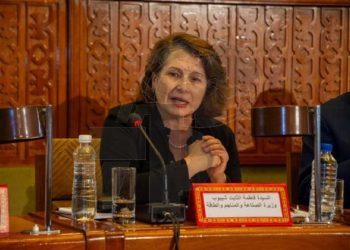 وزارة الصناعة: نحو تحديث الإطار القانوني للمواد البلاستيكية وتحفيز الاستثمارات في الاقتصاد الدائري