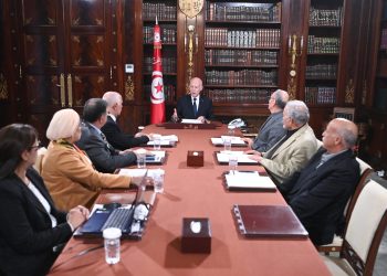 قيس سعيد يجتمع باعضاء الفريق المكلف بايجاد حلول للوضع البيئي بقابس