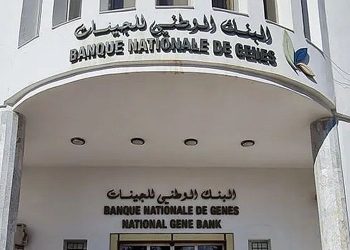 بنك الجينات: تركيز مدارس حقلية بـ3ولايات