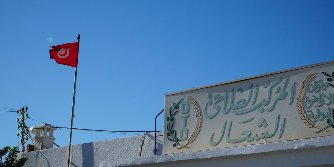 زيارة سياحية إلى هنشير الشعّال: اكتشاف إحدى أكبر ثروات تونس الفلاحية