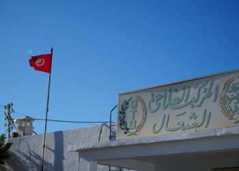زيارة سياحية إلى هنشير الشعّال: اكتشاف إحدى أكبر ثروات تونس الفلاحية