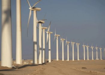 توجه نحو بعث أول محطة لإنتاج طاقة الرياح بالجنوب