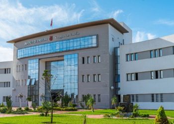 جامعة جندوبة تتحصل على الموافقة لتمويل أربعة مشاريع لباحثين شبان
