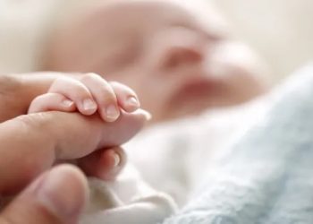 مختص في جراحة أمراض النساء: تونس مُطالبة بتحديث القوانين للسماح بتجميد البويضات