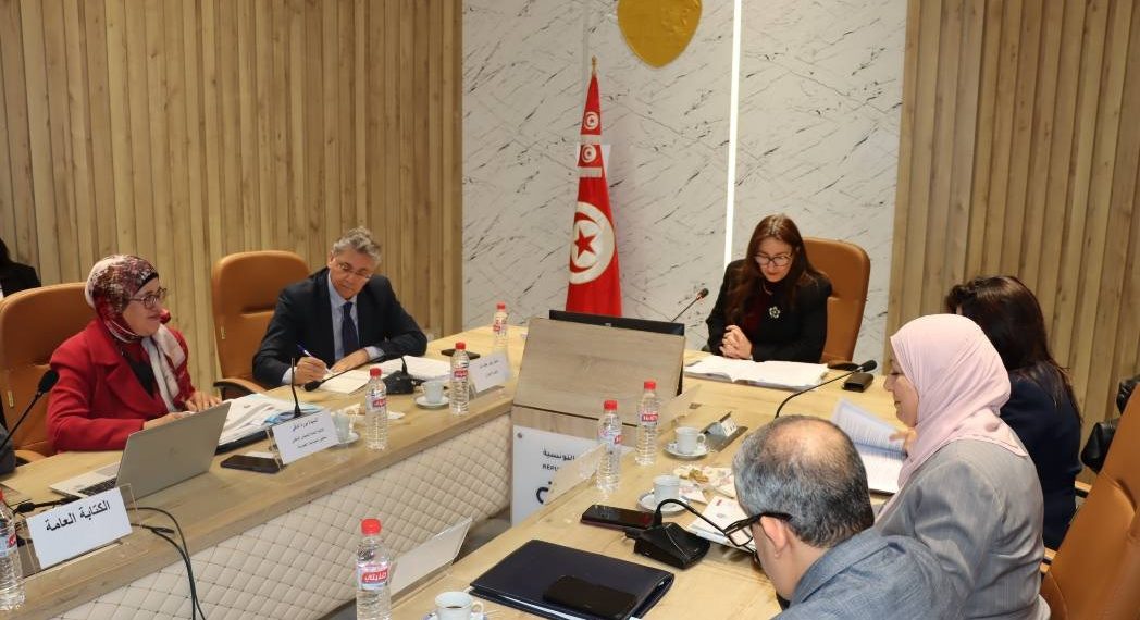وزارة المالية: مجلس الوطني لمعايير الحسابات العموميّة يُوافق على معايير الحسابات العموميّة
