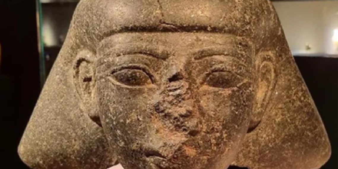 هولندا تعيد قطعة أثرية منهوبة عمرها 3500 عام إلى مصر
