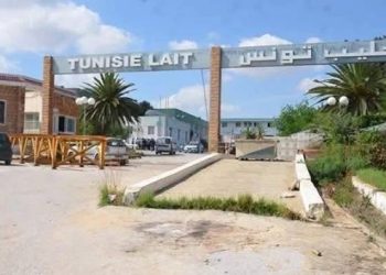 صندوق الودائع والأمانات و3 بنوك عمومية يتولّون تسيير شركة ألبان سيدي بوعلي (Elbène)