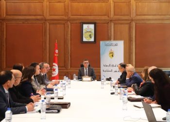 توظيف العقارات الدولية لفائدة مشاريع إنتاج الكهرباء من الطاقات المتجدّدة محور اجتماع بوزارة أملاك الدولة