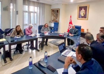 سفيان تقيّة: الرقمنة خيار استراتيجي لدعم الحوكمة بوزارة السياحة