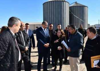 وزيرة الصناعة: توفير التمويلات اللازمة لاستئناف نشاط شركة السكر بباجة