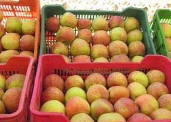 الأبحاث الاقتصادية: تسجيل “مغالطات” تتمثل في ترويج التفاح المحلي على أنه مورد من الخارج
