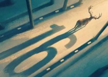 3 أفلام تونسية في مسابقات الدورة 16 لمهرجان مالمو للسينما العربية بالسويد