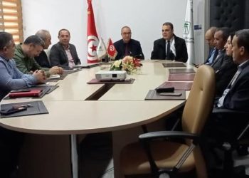 إطلاق خدمة شحن الشارات الآلية للطرقات السيارة عبر تطبيقة دي 17
