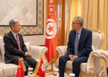 كاتب الدولة لدى وزير الخارجية يلتقي سفير الصين بتونس