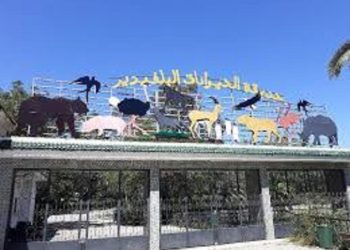 غلق حديقة الحيوانات بالبلفيدير لمدة شهر