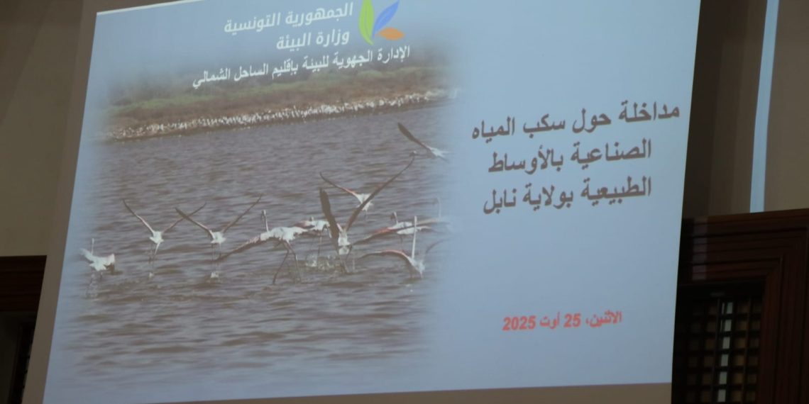 وزير البيئة: إعادة تأهيل بيئي لـ9 مصانع اسمنت في تونس