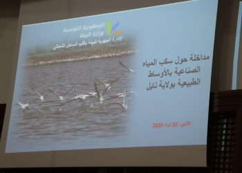 وزير البيئة: إعادة تأهيل بيئي لـ9 مصانع اسمنت في تونس