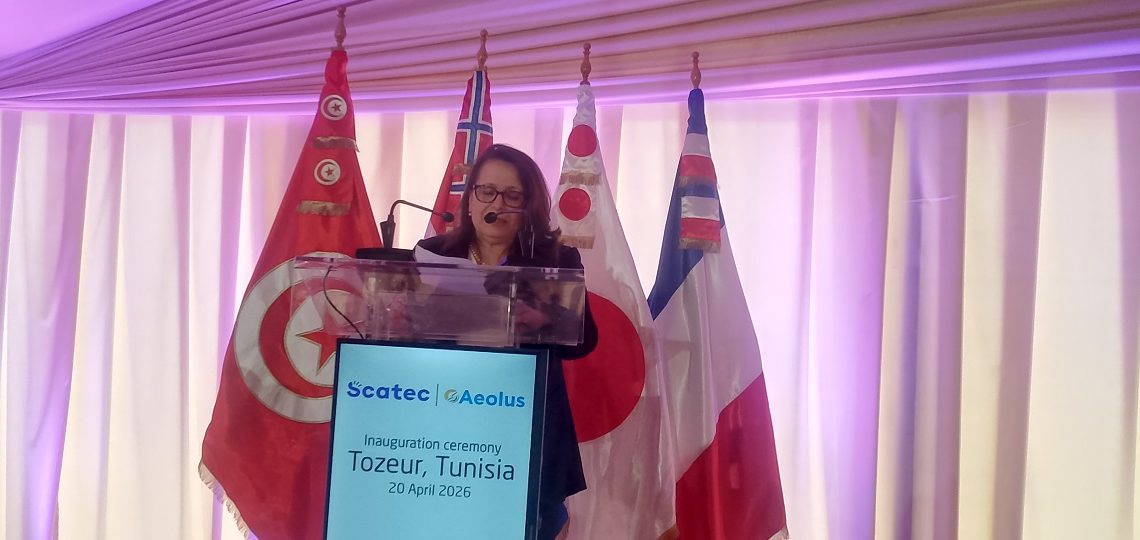وزيرة الصناعة: تونس تقدمت في مسار الطاقات المتجددة…و قريبا مشاريع جديدة
