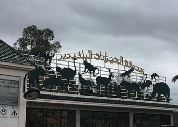 بداية من هذا التاريخ: حديقة البلفدير تفتح ابوابها في حلة جديدة