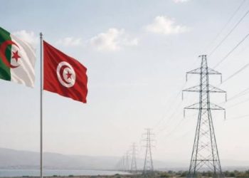 نحو تعزيز التعاون التونسي الجزائري في مجال الطاقة