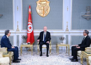 رئيس الجمهورية: إدارة شؤون الدولة لا يمكن أن تقوم على التدوينات أو الصفحات المشبوهة