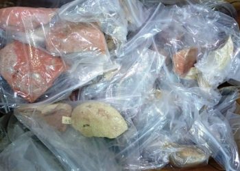 استرجاع أكثر من 200 قطعة أثرية