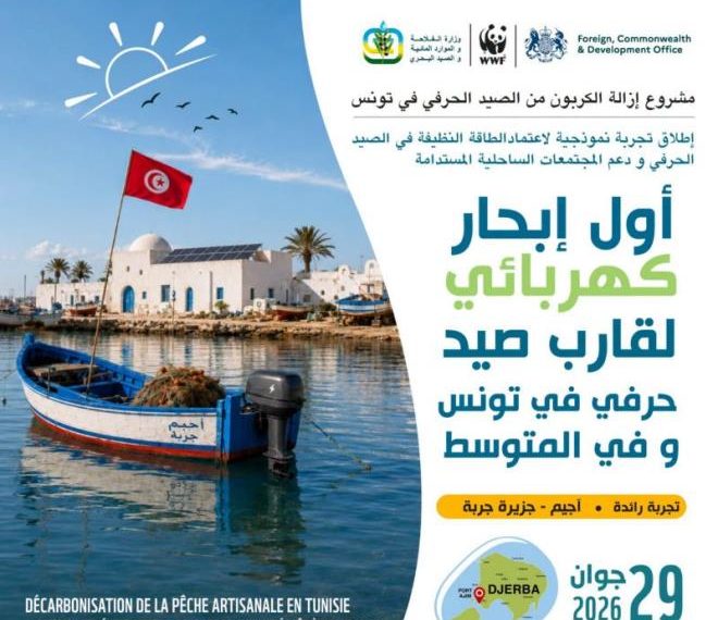 إطلاق أول تجربة نموذجية لمحرك كهربائي على قارب صيد حرفي بجزيرة جربة