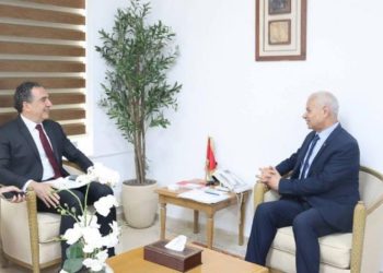وزير التجارة يدعو إلى إرساء شراكات استراتيجية بين تونس والبرازيل