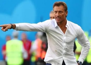 تعيين هيرفي رونار مدرباً للمنتخب التونسي إلى نهاية كأس العالم