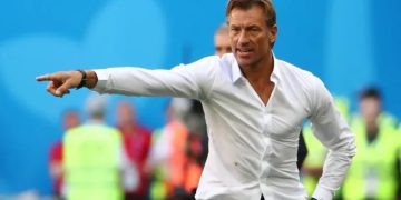 تعيين هيرفي رونار مدرباً للمنتخب التونسي إلى نهاية كأس العالم