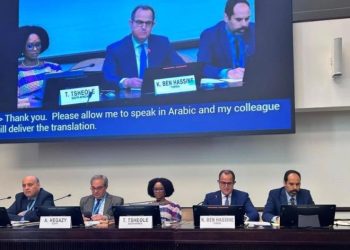 في اجتماع بجينيف: تونس تدعو إلى تسهيل استرجاع الأموال المنهوبة بالخارج