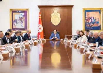 خلال مجلس وزاري مضيّق: رئيسة الحكومة تدعو الى التسريع في استكمال كلّ البرامج والمشاريع العمومية